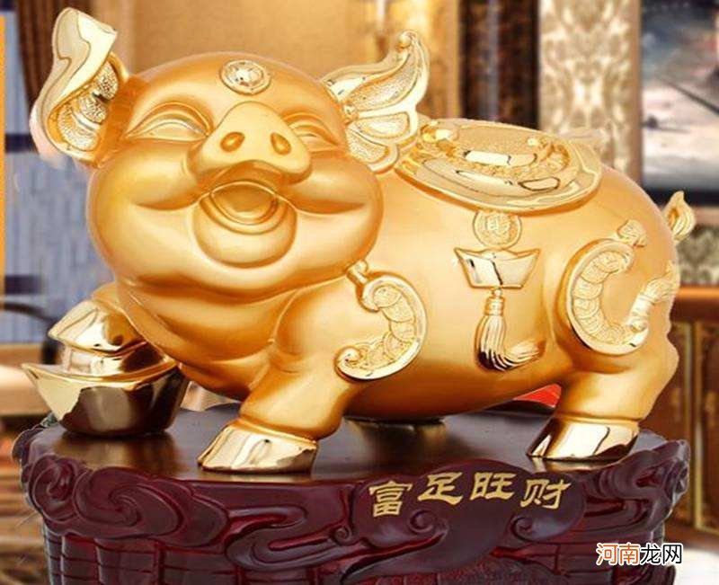 属猪的人2018年运势 2017年属猪的运势