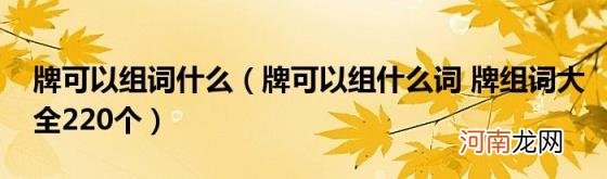 牌可以组什么词牌组词大全220个 牌可以组词什么