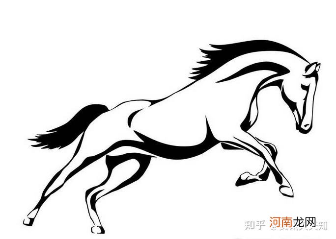 今日马的运势 今日马的运势查询