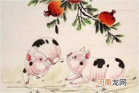 今天属猪的运势 今天属猪的运势和财运