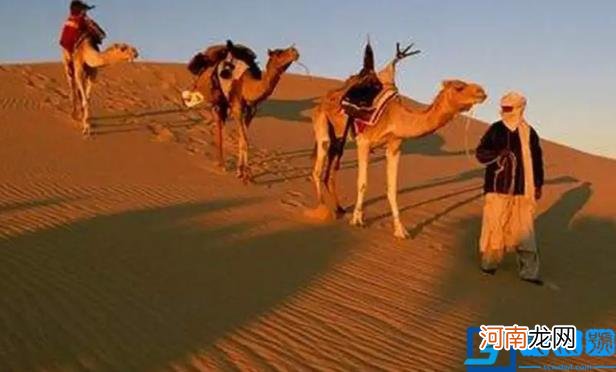 沙漠之国有哪些国家 沙漠之国是哪一个国家