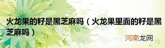 火龙果里面的籽是黑芝麻吗 火龙果的籽是黑芝麻吗