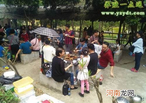 农村致富网创业新项目家庭式的简单介绍