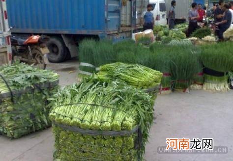 农村致富网创业新项目家庭式的简单介绍