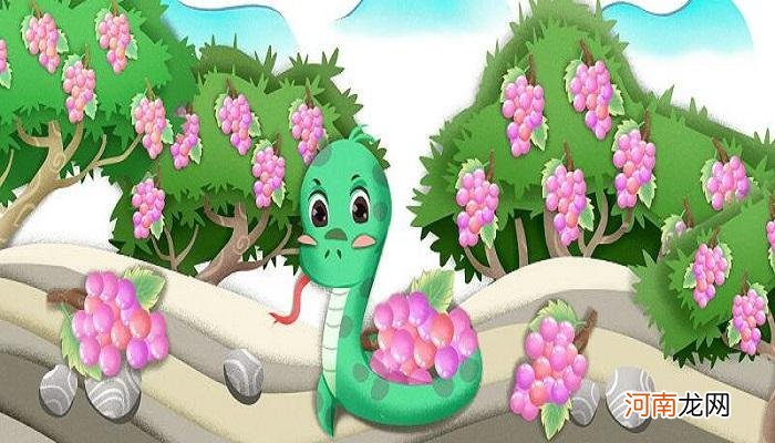 梦见蛇是不是胎梦 梦见蛇是什么胎梦