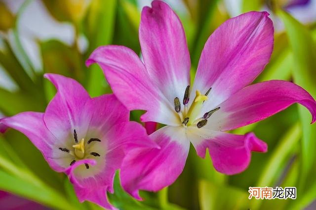 职场运势 职场运势可信吗