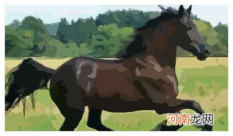 属马人2016年每月运势 2016年属马人的运势