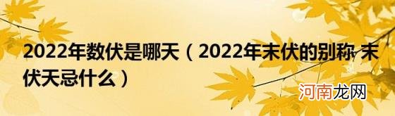 2022年末伏的别称末伏天忌什么 2022年数伏是哪天