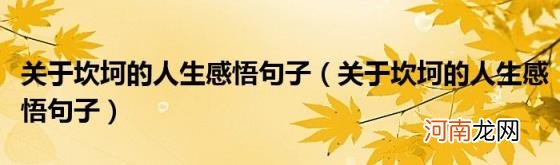 关于坎坷的人生感悟句子 关于坎坷的人生感悟句子