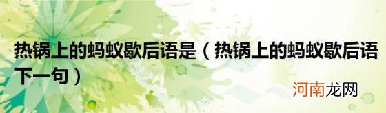 热锅上的蚂蚁歇后语下一句 热锅上的蚂蚁歇后语是