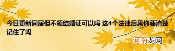 今日更新同居但不领结婚证可以吗这4个法律后果你要清楚记住了吗