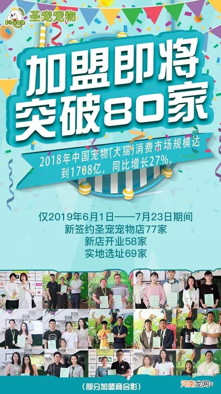 0元创业节 0元网上创业项目