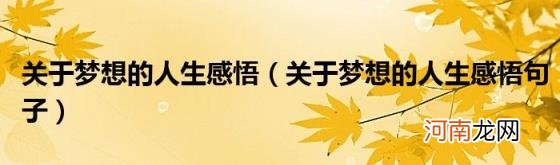 关于梦想的人生感悟句子 关于梦想的人生感悟
