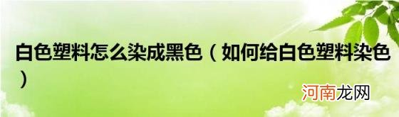 如何给白色塑料染色 白色塑料怎么染成黑色