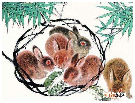 属兔10月运势 属兔10月运势如何