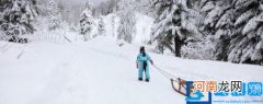 中国女子自由式滑雪空中技巧运动员是谁 自由式滑雪空中技巧运动员