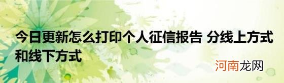 今日更新怎么打印个人征信报告分线上方式和线下方式