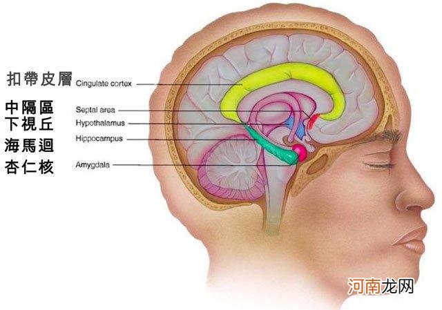 孩子记忆力下降，家长试试这3个方法，让娃的头脑变灵活！