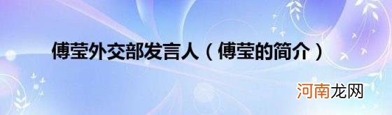 傅莹的简介 傅莹外交部发言人