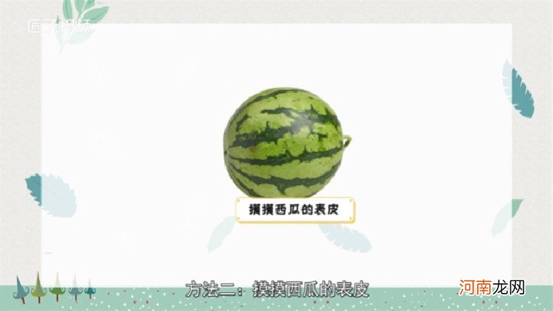 如何挑选西瓜