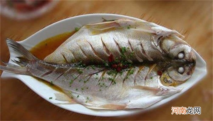 金昌鱼算海鲜吗