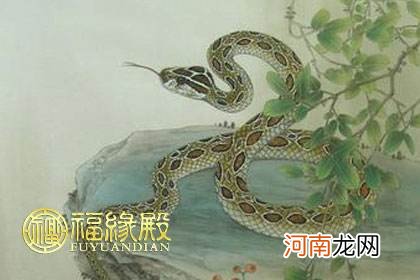 2017年属蛇运势 属蛇2017年运势及运程详解