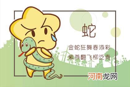 属蛇2016年运势及运程 属蛇2016年运势及运程如何