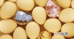 新生儿拒绝吃奶的五大原因 新生儿不吃奶的原因分析