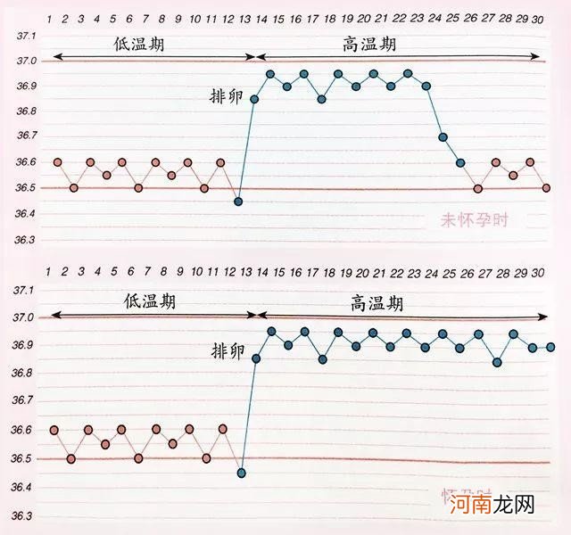 女性基础体温测定及其意义 女性基础体温变化规律