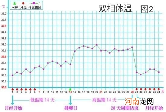 女性基础体温测定及其意义 女性基础体温变化规律