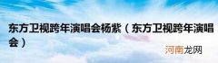 东方卫视跨年演唱会 东方卫视跨年演唱会杨紫