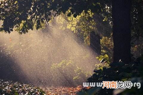 解梦太阳 解梦太阳月亮