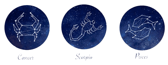 双鱼天蝎 双鱼天蝎谁先动心