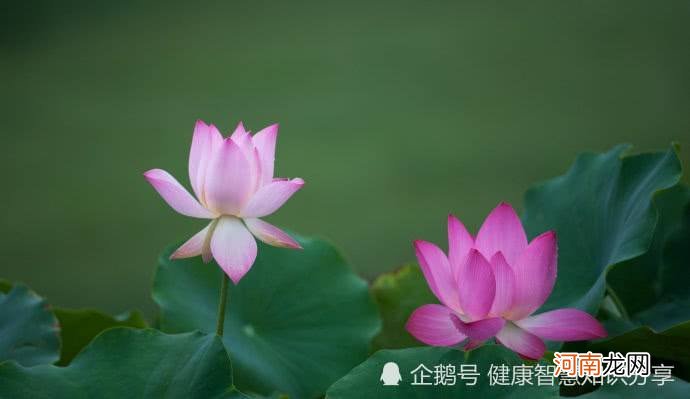 6月9日生肖运势 6月9日生肖运势早知道