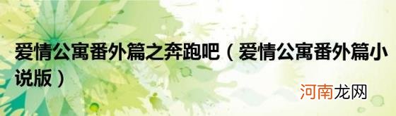 爱情公寓番外篇小说版 爱情公寓番外篇之奔跑吧