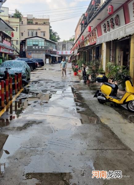 大益茶叶期货交易平台app 东和茶叶网大益价格官网