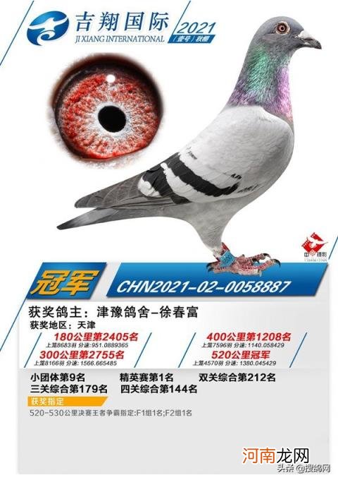 开尔爱心公棚大棚 神州辉煌公棚大棚2022