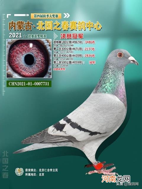 开尔爱心公棚大棚 神州辉煌公棚大棚2022