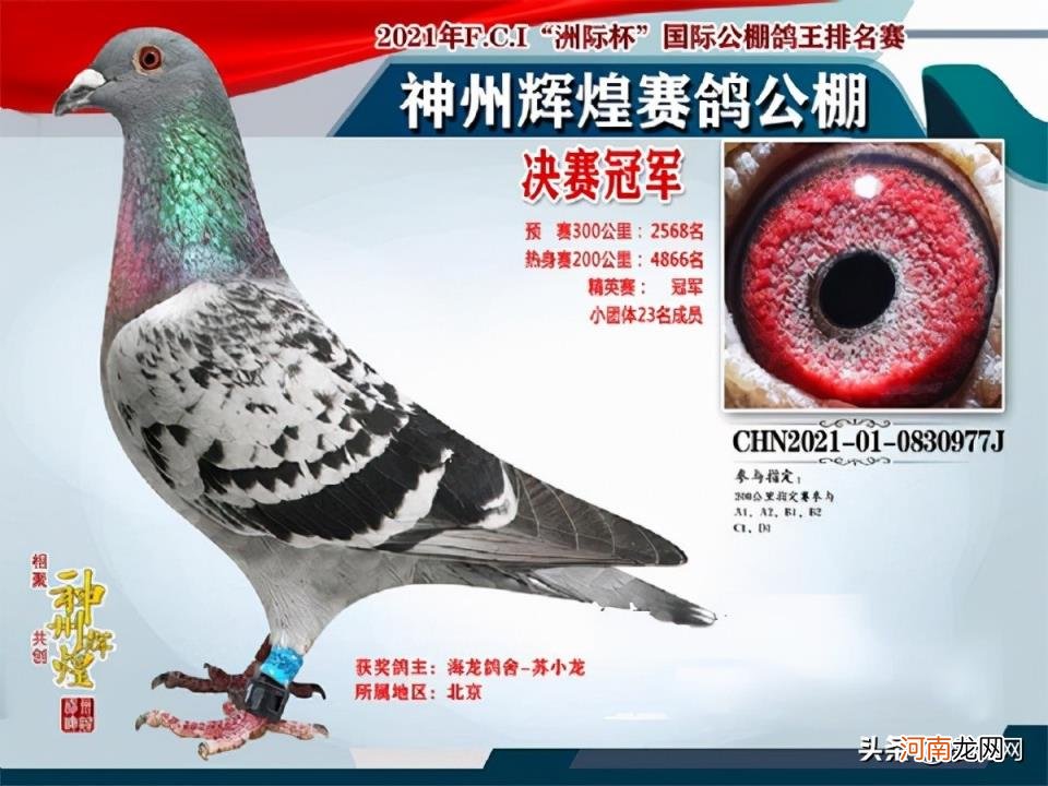 开尔爱心公棚大棚 神州辉煌公棚大棚2022