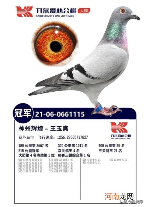 开尔爱心公棚大棚 神州辉煌公棚大棚2022