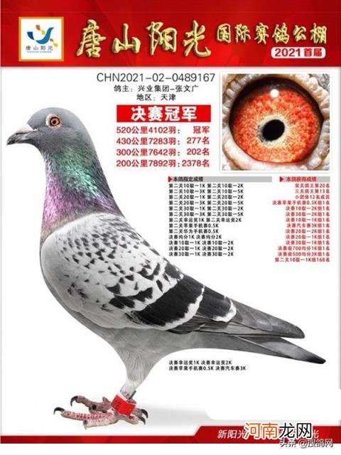 开尔爱心公棚大棚 神州辉煌公棚大棚2022