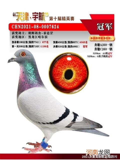 开尔爱心公棚大棚 神州辉煌公棚大棚2022