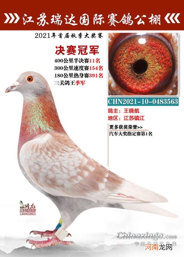 辽宁北镇金龙公棚2022秋季 金龙公棚最新消息