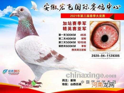 辽宁北镇金龙公棚2022秋季 金龙公棚最新消息