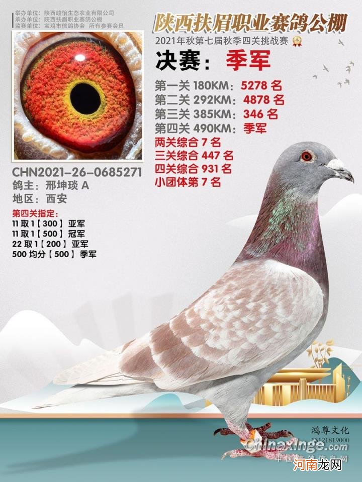 辽宁北镇金龙公棚2022秋季 金龙公棚最新消息