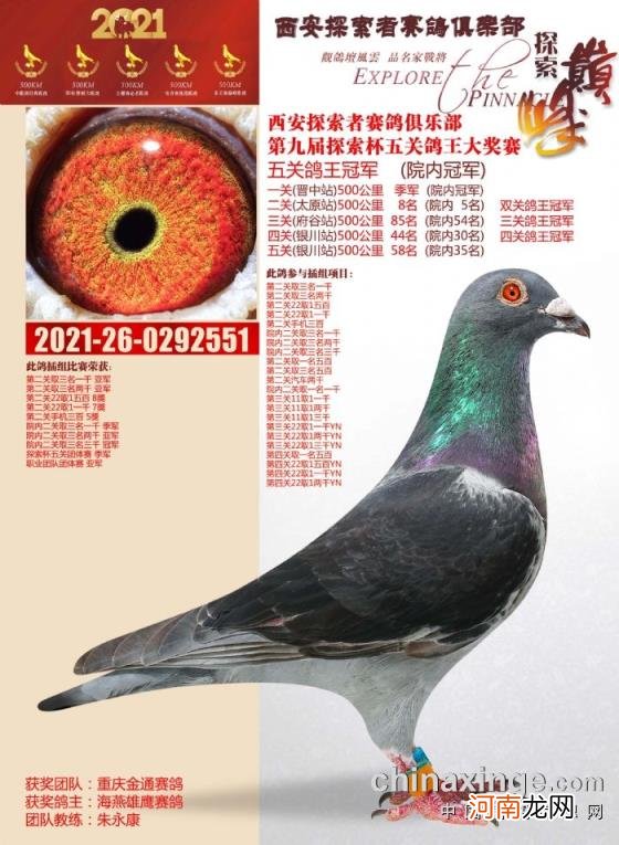 辽宁北镇金龙公棚2022秋季 金龙公棚最新消息