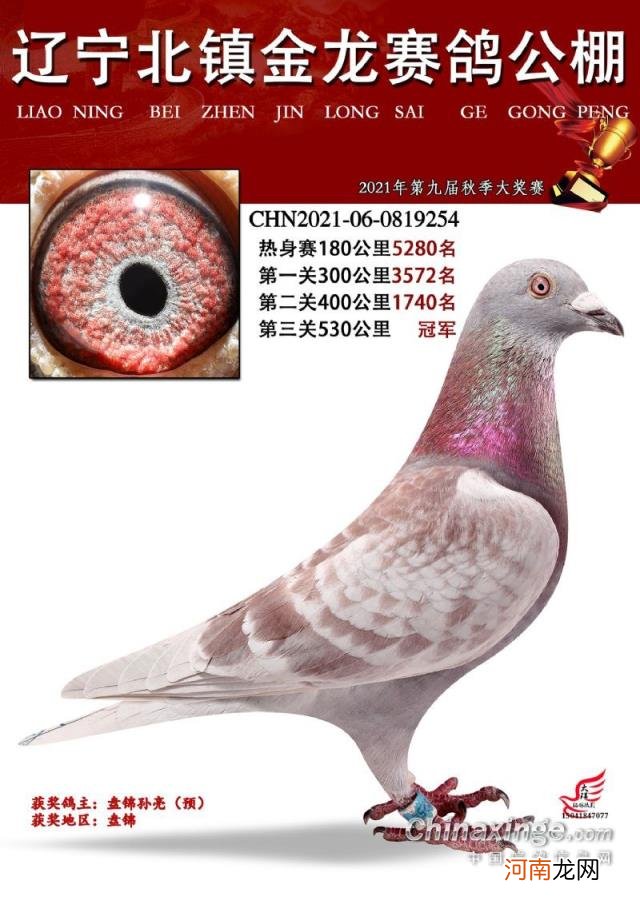 辽宁北镇金龙公棚2022秋季 金龙公棚最新消息