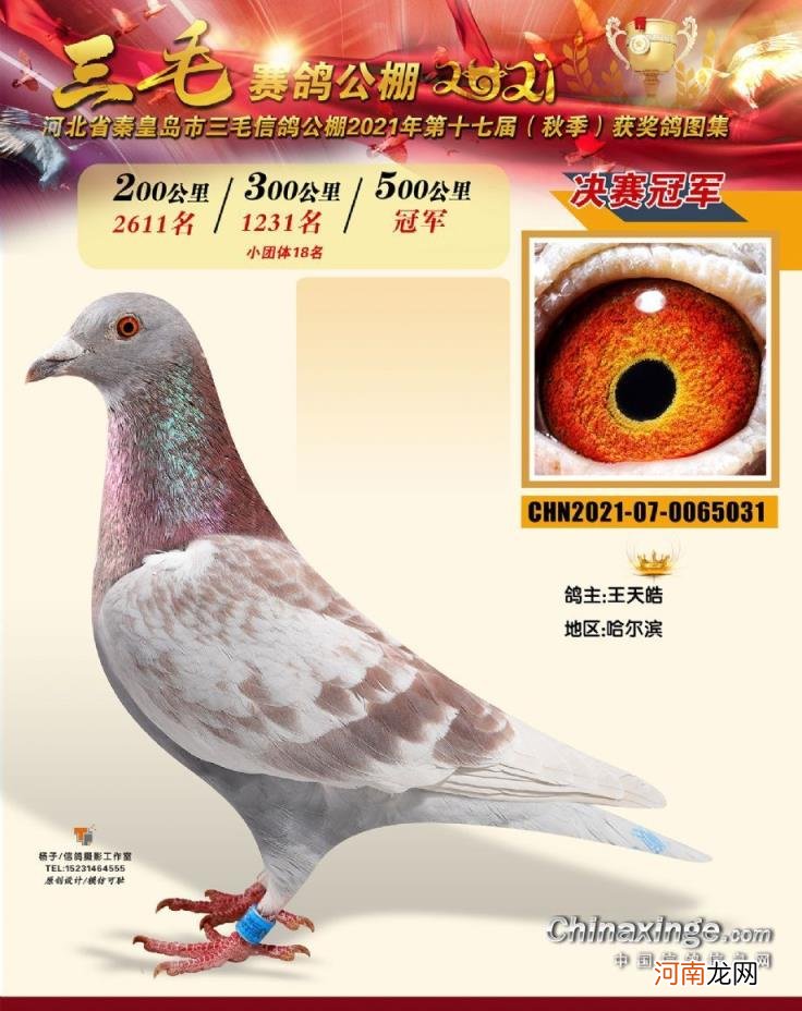 辽宁北镇金龙公棚2022秋季 金龙公棚最新消息