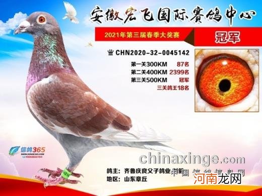 辽宁北镇金龙公棚2022秋季 金龙公棚最新消息