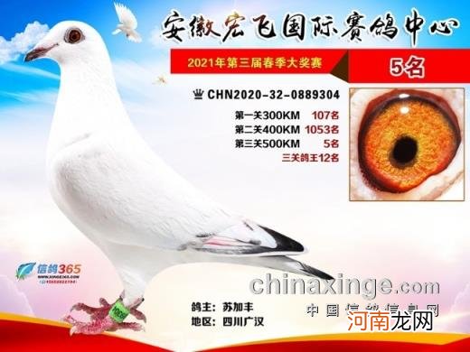 辽宁北镇金龙公棚2022秋季 金龙公棚最新消息